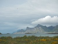 N, Nordland, Flakstad, Fredvang 63, Saxifraga-Hans Dekker