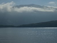 N, Oppland, Nesna 4, Saxifraga-Marijke Verhagen