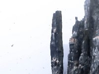 N, Spitsbergen, Alkefjellet 5, Saxifraga-Bart Vastenhouw