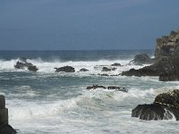 P, Beja, Odemira, Azenha do Mar 18, Saxifraga-Willem van Kruijsbergen