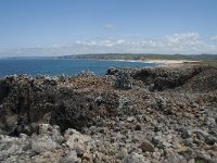 P, Faro, Aljezur, Carrapateira 178, Saxifraga-Willem van Kruijsbergen