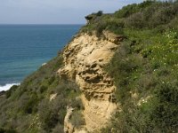 P, Faro, Burgau 11, Saxifraga-Willem van Kruijsbergen