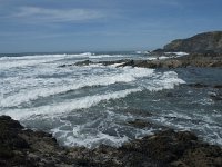 P, Faro, Rogil, Praia da Carriagem 27, Saxifraga-Willem van Kruijsbergen