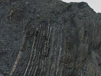 P, Faro, Vila do Bispo, Praia de Castelejo 84, Saxifraga-Willem van Kruijsbergen