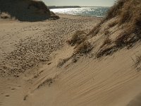 F, Pas-de-Calais, Ambleteuse, Dunes de la Slack 10, Saxifraga-Jan van der Straaten