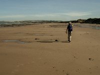 F, Pas-de-Calais, Wissant 12, Saxifraga-Jan van der Straaten