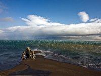 IS, Nordurland vestra, Hunabing vestra, Hvitserkur 3, Saxifraga-Dick, Hoogenboom