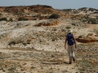 P, Beja, Odemira, Zambujeira 6, Saxifraga-Jan van der Straaten