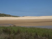 P, Faro, Aljezur, Carrapateira, Praia da Bordeira 9, Saxifraga-Willem van Kruijsbergen