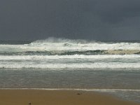 P, Faro, Vila do Bispo, Praia de Castelejo 3, Saxifraga-Willem van Kruijsbergen