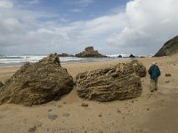 P, Faro, Vila do Bispo, Praia de Castelejo 7, Saxifraga-Willem van Kruijsbergen