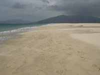 E, Cadiz, Tarifa 36, Saxifraga-Willem van Kruijsbergen