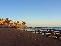 E, Málaga, Mijas, Sitia de Calahonda 7, Saxifraga-Hans Dekker