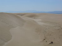 E, Tarragona, Deltebre, El Fangar 1, Saxifraga-Jan van der Straaten