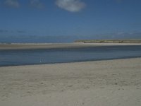 NL, Noord-Holland, Texel, De Slufter 71, Saxifraga-Willem van Kruijsbergen