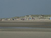 NL, Noord-Holland, Texel, Paal 28 4, Saxifraga-Willem van Kruijsbergen