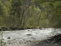 F, Isere, Le Gua, la Gresse 1, Saxifraga-Jan van der Straaten