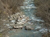 F, Isere, Miribel-Lanchatre, Gresse 1, Saxifraga-Marijke Verhagen