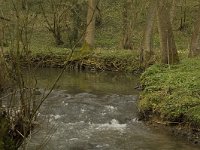 B, Liege, Kelmis, Hohn 2, Saxifraga-Willem van Kruijsbergen