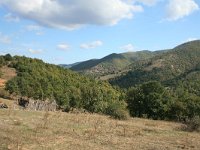 GR, Anatoliki Makedonia kai Thraki, Komotini 32, Saxifraga-Dirk Hilbers