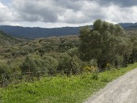E, Cadiz, Jimena de la Frontera, Alcornocales 19, Saxifraga-Jan van der Straaten