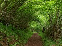 E, La Rioja, Ezcaray 1, Saxifraga-Hans Dekker
