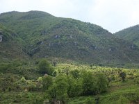 AL, Gjirokaster, Tepelene 13, Saxifraga-Hans Boll