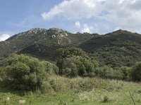 E, Cadiz, Jimena de la Frontera, Alcornocales 43, Saxifraga-Willem van Kruijsbergen