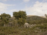 E, Malaga, El Burgo, Sierra de las Nieves 10, Saxifraga-Jan van der Straaten