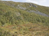 N, More og Romsdal, Fraena, Trollkyrkja 31, Saxifraga-Willem van Kruijsbergen