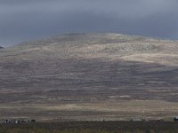 N, Oppland, Dovre, Fokstumyra 85, Saxifraga-Willem van Kruijsbergen