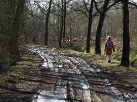 NL, Noord-Brabant, Oirschot, De Mortelen 26, Saxifraga-Jan van der Straaten