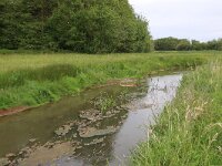 NL, Drenthe, Assen, Deurzerdiep 5, Saxifraga-Hans Boll
