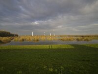 NL, Flevoland, Zeewolde, Harderbroek 7, Saxifraga-Jan Nijendijk