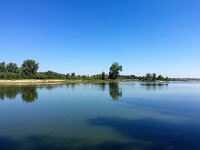 NL, Gelderland, Berg en Dal, Millingen 4, Saxifraga-Bart Vastenhouw