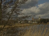 NL, Noord-Brabant, ´s-Hertogenbosch, Bossche Broek 35, Saxifraga-Jan van der Straaten