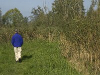 NL, Noord-Brabant, Altena, Kornsche Boezem 11, Saxifraga-Jan van der Straaten