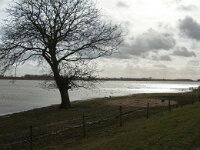 NL, Noord-Brabant, Altena, Polder Keizersguldenwaard 6, Saxifraga-Jan van der Straaten