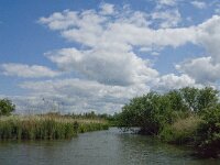 NL, Noord-Brabant, Drimmelen, Gat van de Plomp 11, Saxifraga-Jan van der Straaten