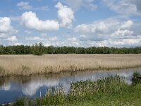 NL, Noord-Brabant, Drimmelen, Noorderplaat 49, Saxifraga-Willem van Kruijsbergen