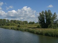 NL, Noord-Brabant, Drimmelen, Polder Lange Plaat 16, Saxifraga-Jan van der Straaten