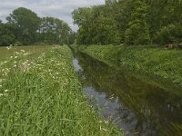 NL, Noord-Brabant, Tilburg, Nieuwe Tiend 4, Saxifraga-Jan van der Straaten