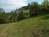 F, Ardeche, Saint Peray, Crussol 1, Saxifraga-Elizabeth Raboin