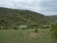 F, Aveyron, Lapanouse-de-Cernon 6, Saxifraga-Willem van Kruijsbergen