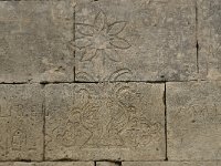 F, Bouches-du-Rhone, Saint Martin-de-Crau, Peau de Meau 11, Saxifraga-Willem van Kruijsbergen