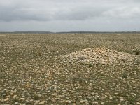 F, Bouches-du-Rhone, Saint Martin-de-Crau, Peau de Meau 33, Saxifraga-Willem van Kruijsbergen