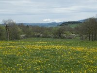 F, Haute-Loire, Cayres 1, Saxifraga-Willem van Kruijsbergen
