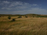 F, Lozere, Causse Mejean 2, Saxifraga-Dirk Hilbers