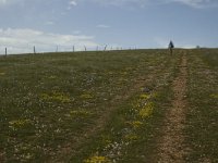F, Lozere, Hures-la-Parade 4, Saxifraga-Marijke Verhagen