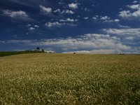 F, Lozere, Pont-de-Montvert, Mont Lozere 26, Saxifraga-Dirk Hilbers